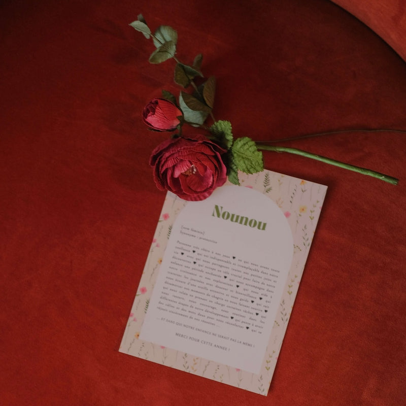 Coffret la Meilleure Nounou