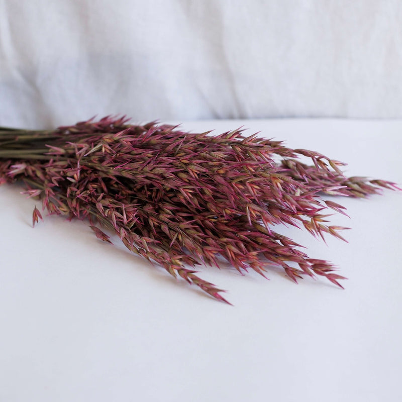 Botte Avoine rose foncé