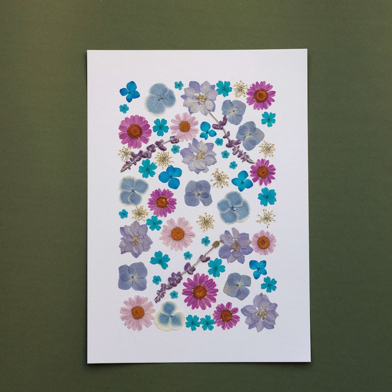 herbier-fait-main-fleurs-bleues-roses