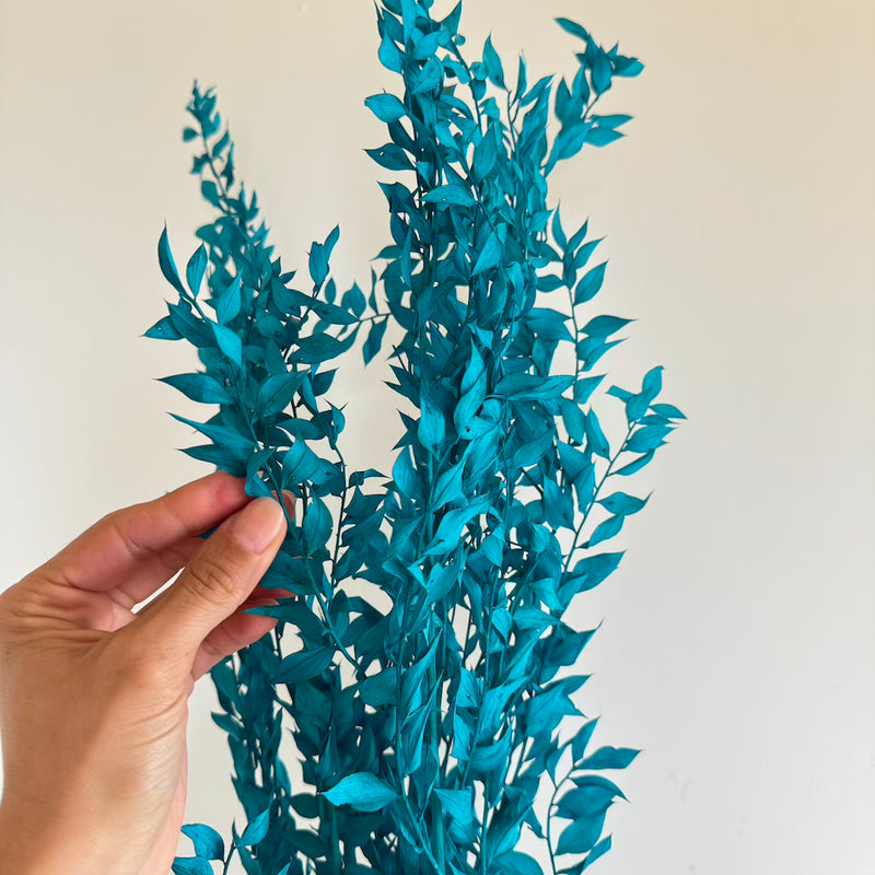 Botte fleurs stabilisées Ruscus Turquoise