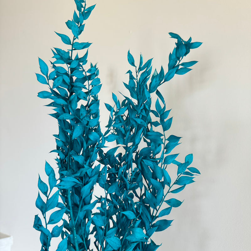 Botte fleurs stabilisées Ruscus Turquoise