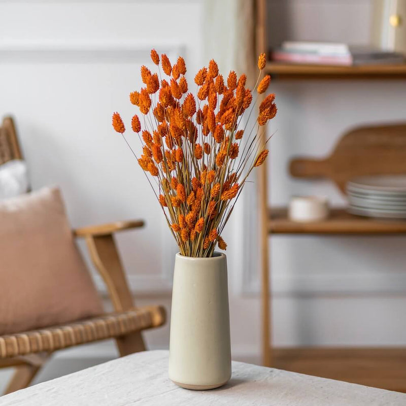 botte-fleurs-sechees-phalaris-orange-flowrette
