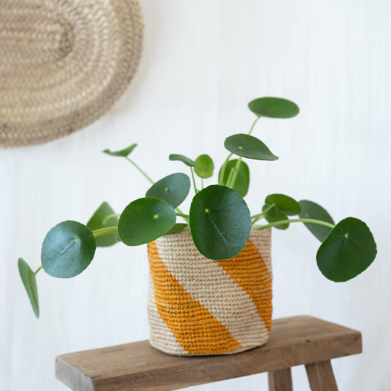 cache-pot-raphia-sarika-jaune-14cm