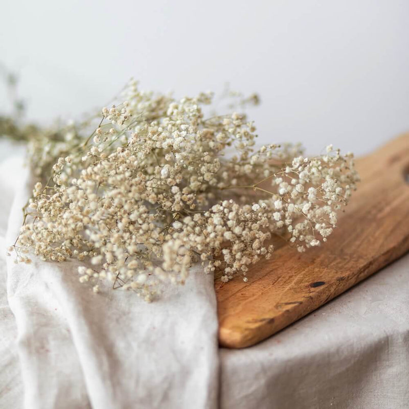 botte-fleurs-sechees-gypsophile-naturel-flowrette