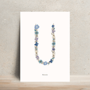 affiche-A4-herbier-lettre-flowrette-bleue