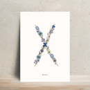 affiche-A4-herbier-lettre-flowrette-bleue