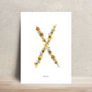 Affiche A4 herbier lettre jaune
