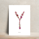 Affiche A4 herbier lettre rose