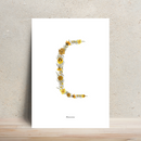 Affiche A4 herbier lettre jaune, vue d'ensemble encadrée - Flowrette