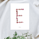 Affiche A5 herbier lettre rose