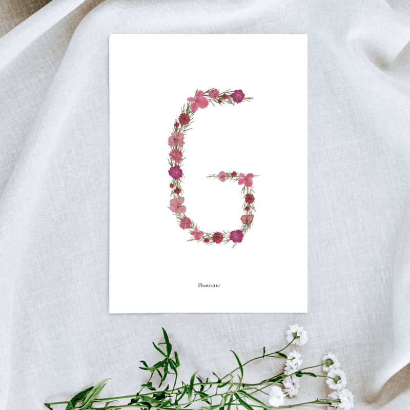 Affiche A5 herbier lettre rose