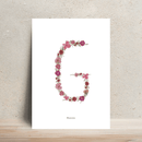 Affiche A4 herbier lettre rose