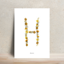 Affiche A4 herbier lettre jaune, vue rapprochée des fleurs - Flowrette