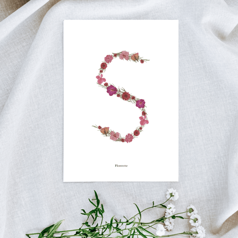 Affiche A5 herbier lettre rose