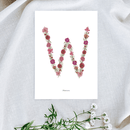 Affiche A5 herbier lettre rose
