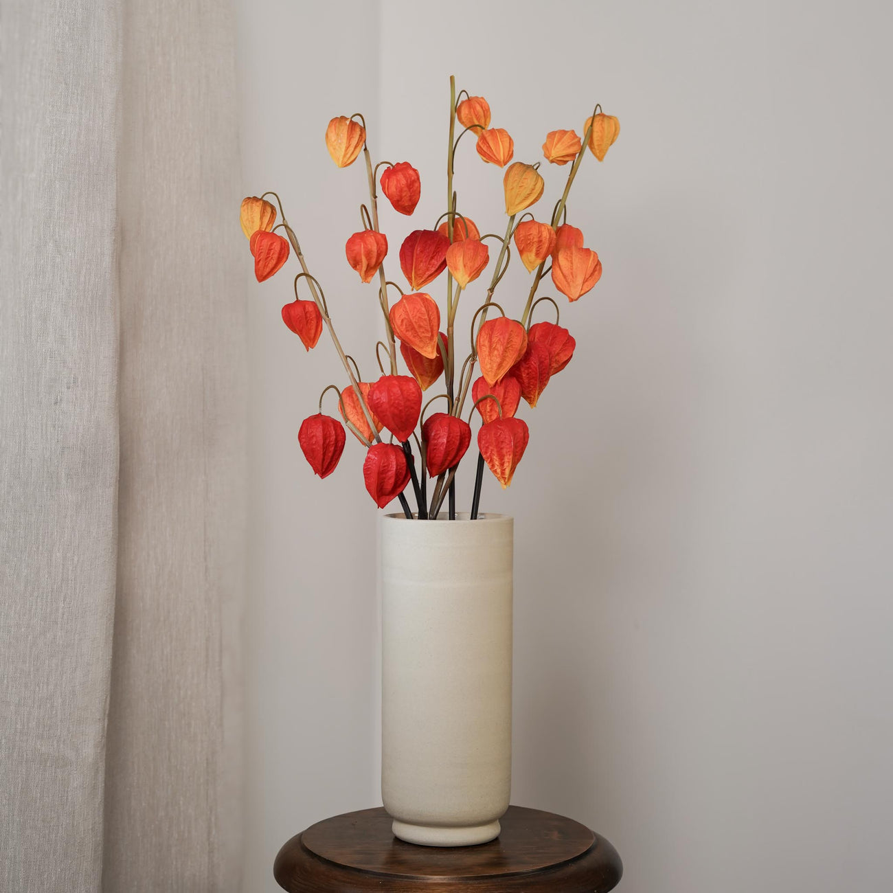 Amour en cage orange, vue d'ensemble de la tige fleurie - Flowrette