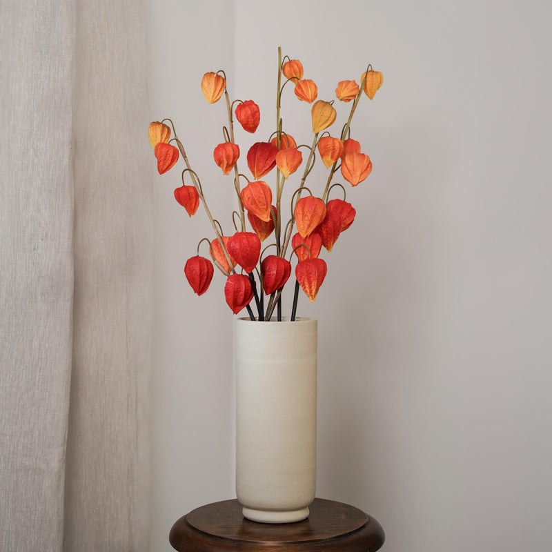 Amour en cage orange, vue d'ensemble de la tige fleurie - Flowrette