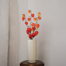 Amour en cage orange, détail des fleurs - Flowrette