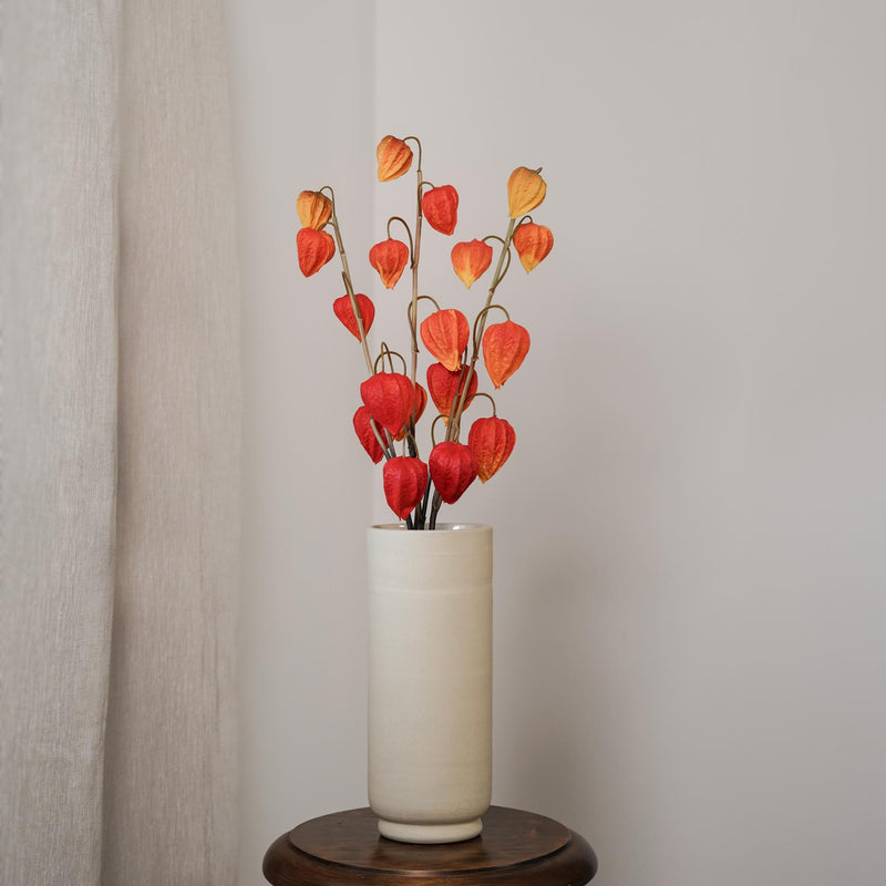 Amour en cage orange, détail des fleurs - Flowrette