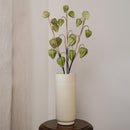 Amour en cage vert, détail des fleurs - Flowrette
