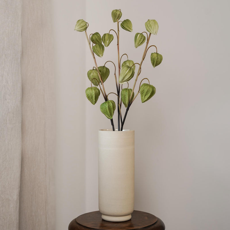 Amour en cage vert, détail des fleurs - Flowrette