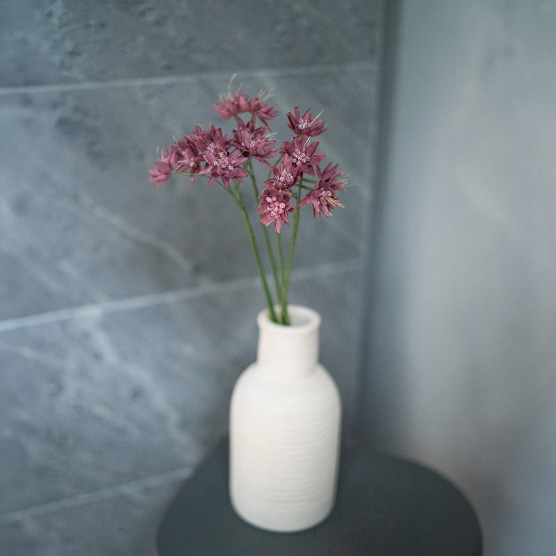 Astrance en papier violet