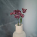 Astrance en papier violet