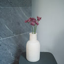 Astrance en papier violet