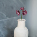 Astrance en papier violet