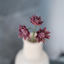 Astrance en papier violet