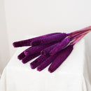 Botte babala violet - fleurs séchées - Flowrette