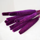 Botte babala violet - fleurs séchées - Flowrette