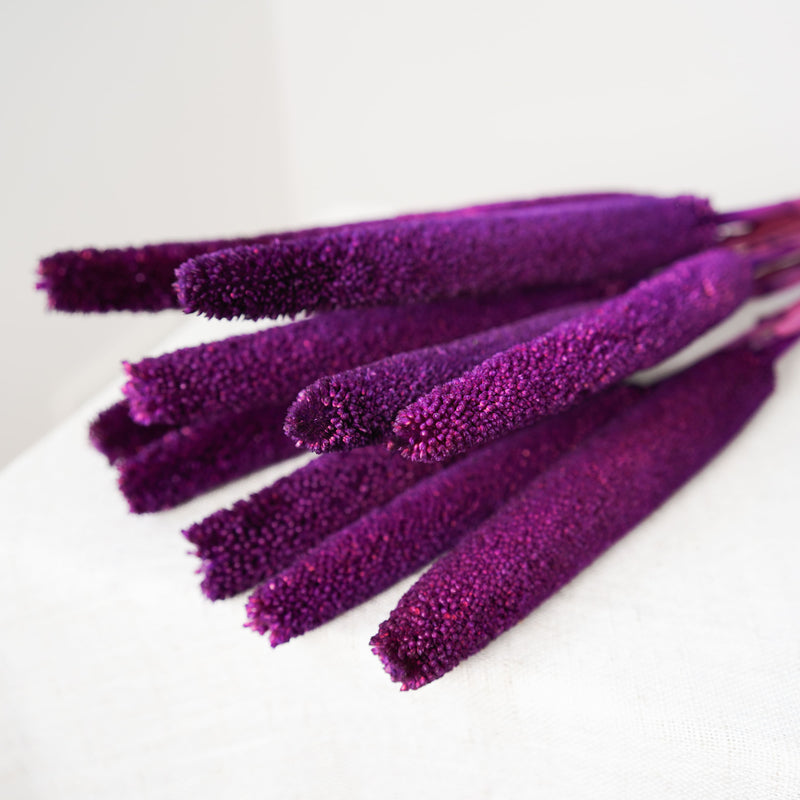 Botte babala violet - fleurs séchées - Flowrette