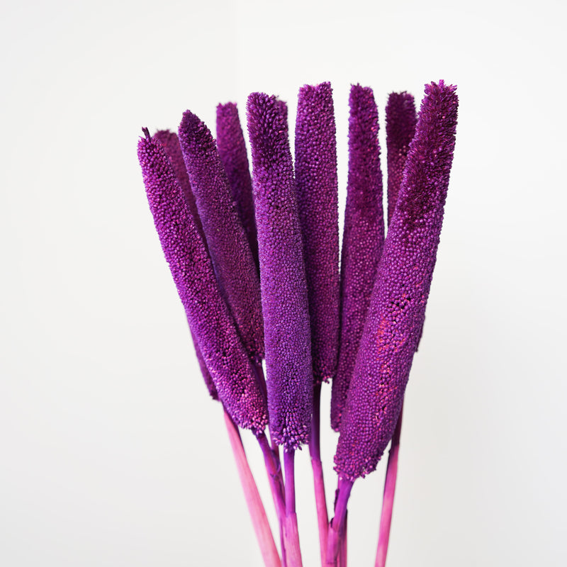 Botte babala violet - fleurs séchées - Flowrette