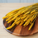 Botte blé jaune