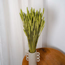 Botte Blé Vert pâle - Flowrette