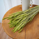 Botte Blé Vert pâle - Flowrette