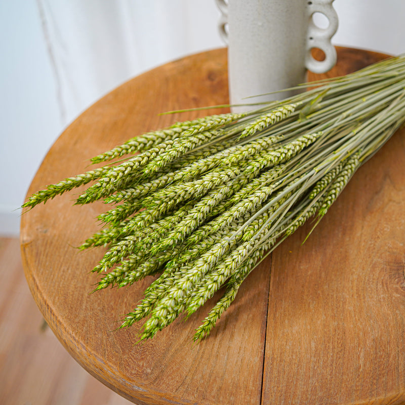 Botte Blé Vert pâle - Flowrette