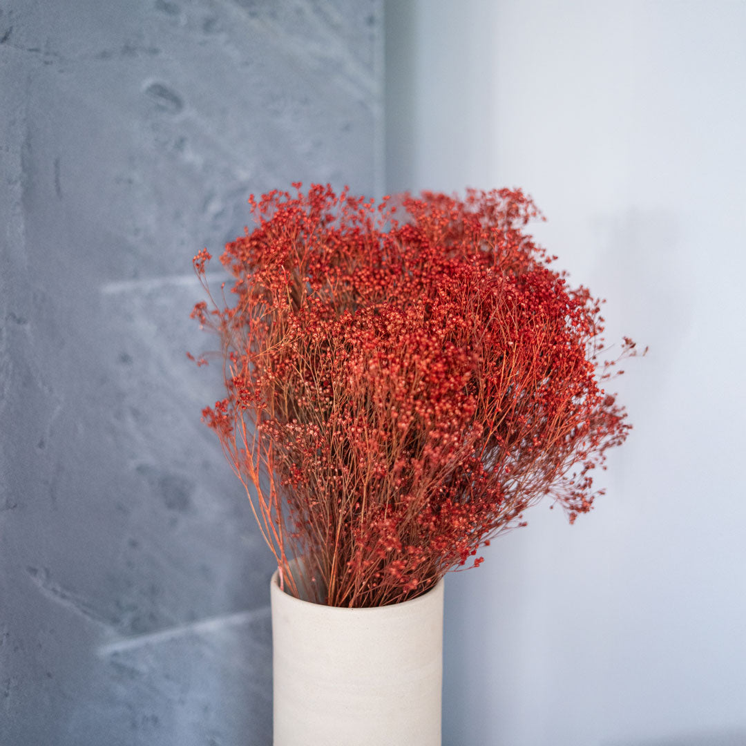 Broom Bloom Rouille boot