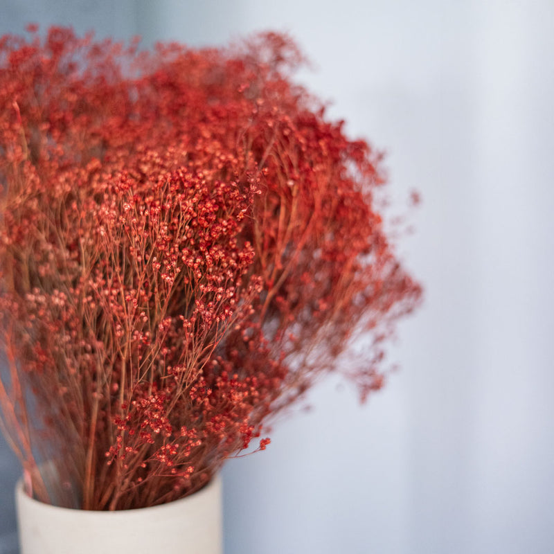 Broom Bloom Rouille boot