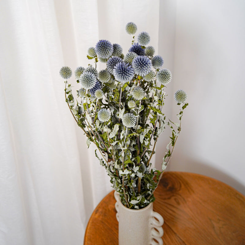 Botte Echinops - chardon boule - Flowrette