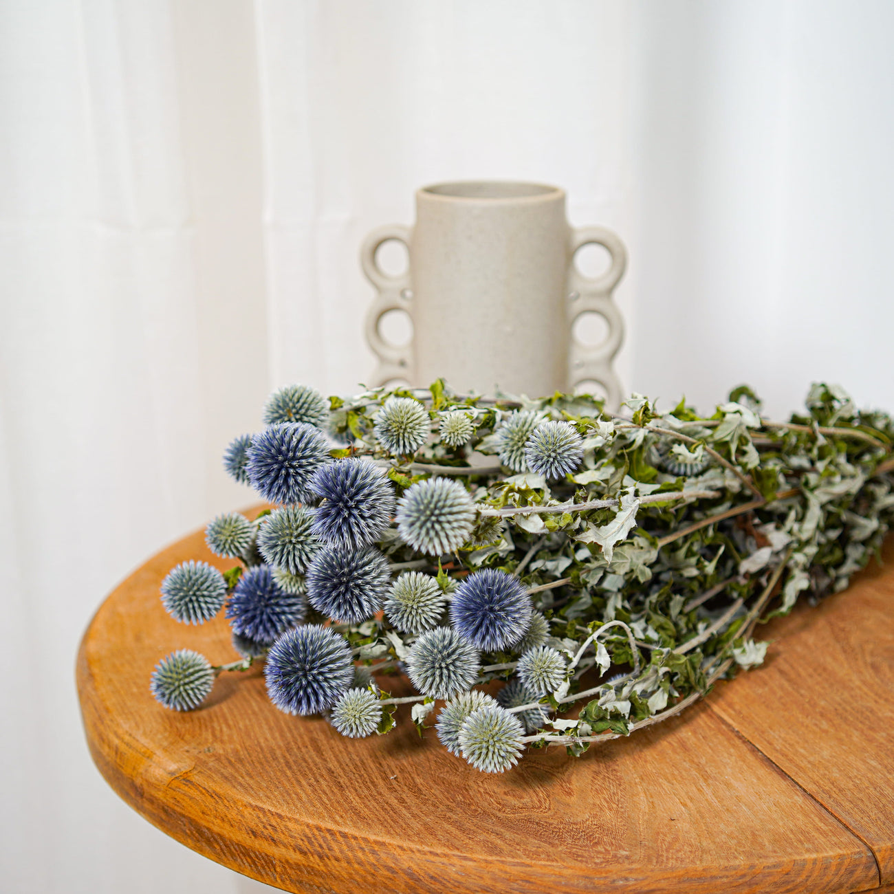 Botte Echinops - chardon boule - Flowrette