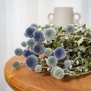 Botte Echinops - chardon boule - Flowrette