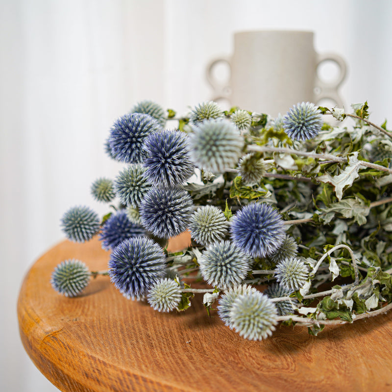 Botte Echinops - chardon boule - Flowrette