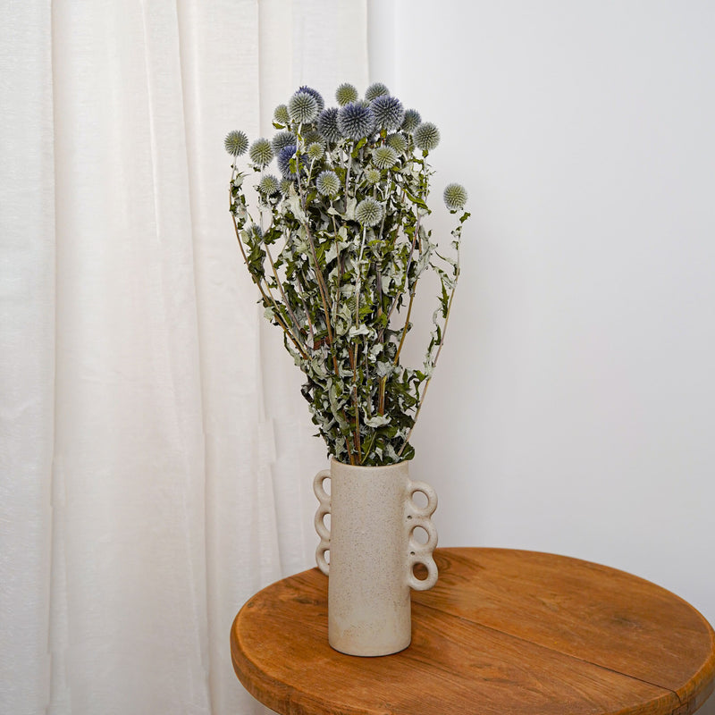 Botte Echinops - chardon boule - Flowrette