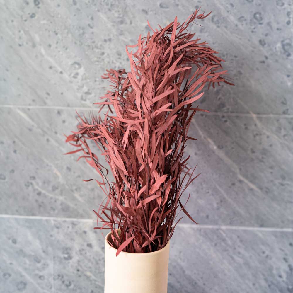 Botte Eucalyptus Nicoli Rouge