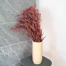 Botte Eucalyptus Nicoli Rouge