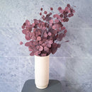 Botte Eucalyptus Populus Bordeaux