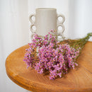 Botte Limonium Rose Clair