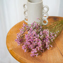 Botte Limonium Rose Clair
